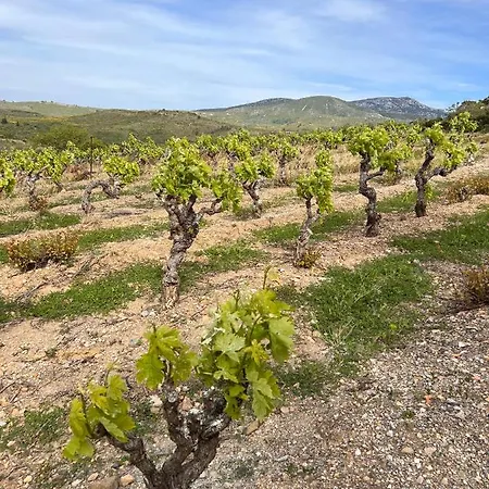 Les Baroudeurs De Jean فندق مبيت وإفطار Saint-Jean-de-Barrou